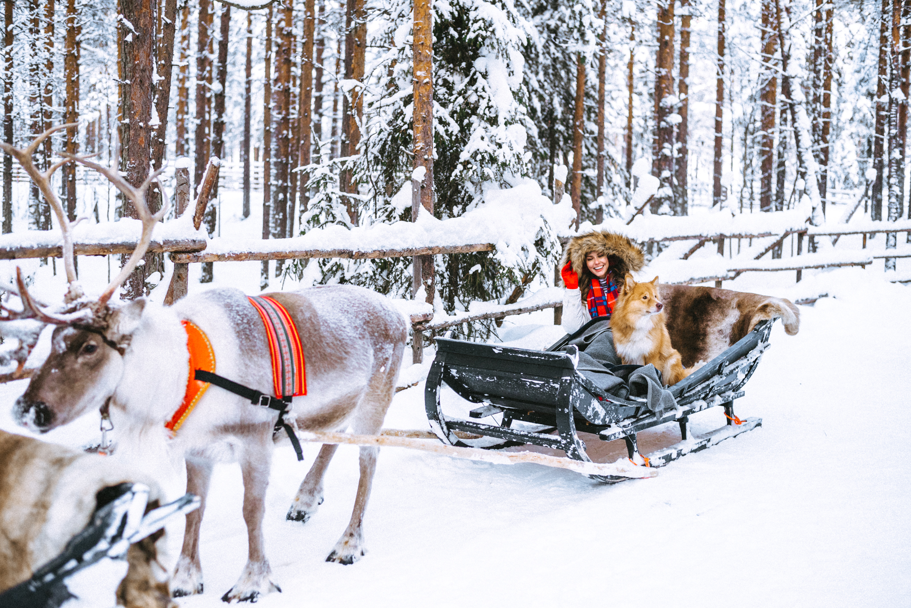 Alyssa Campanella of The A List blog visits Arctic Treehouse Hotel in Rovaniemi, Lapland, Finland