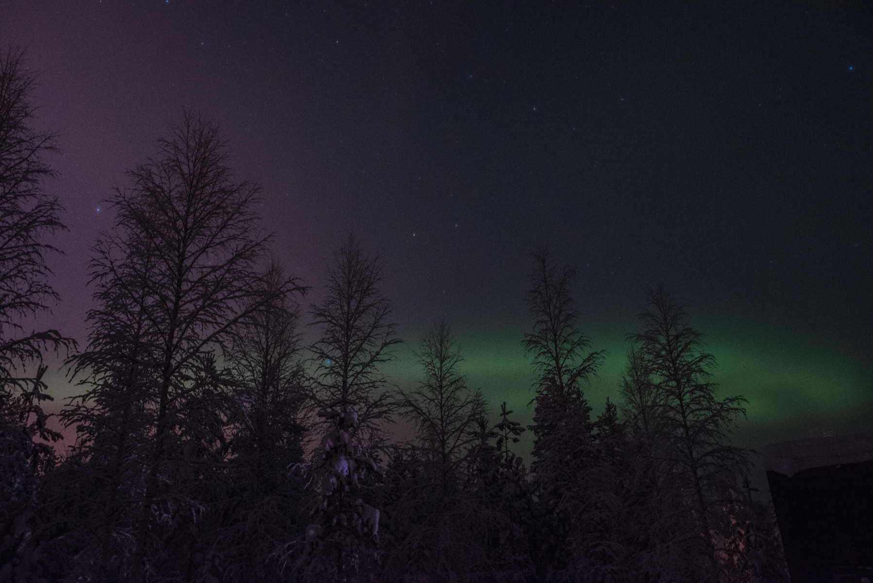 Alyssa Campanella of The A List blog visits Arctic Treehouse Hotel in Rovaniemi, Lapland, Finland