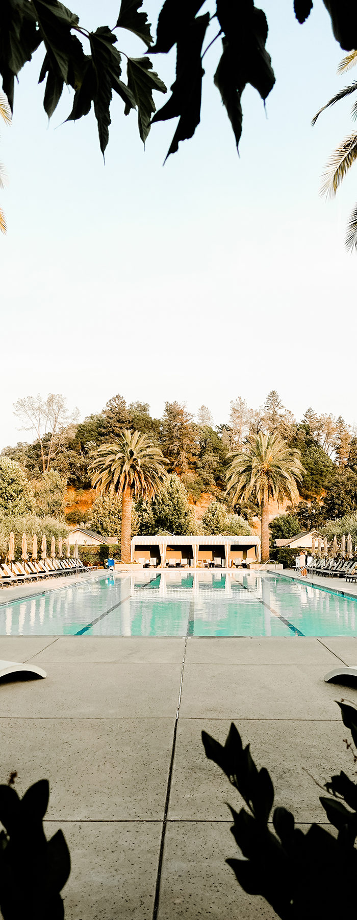 Alyssa Campanella of The A List blog visits Solbar at Solage Calistoga with Visit Napa Valley