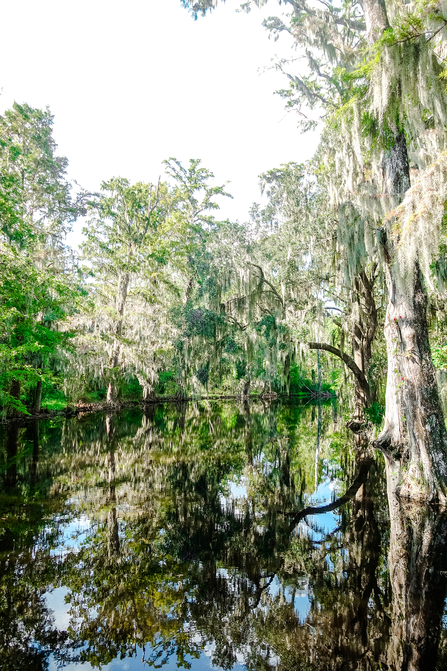 Magnolia Gardens The A List