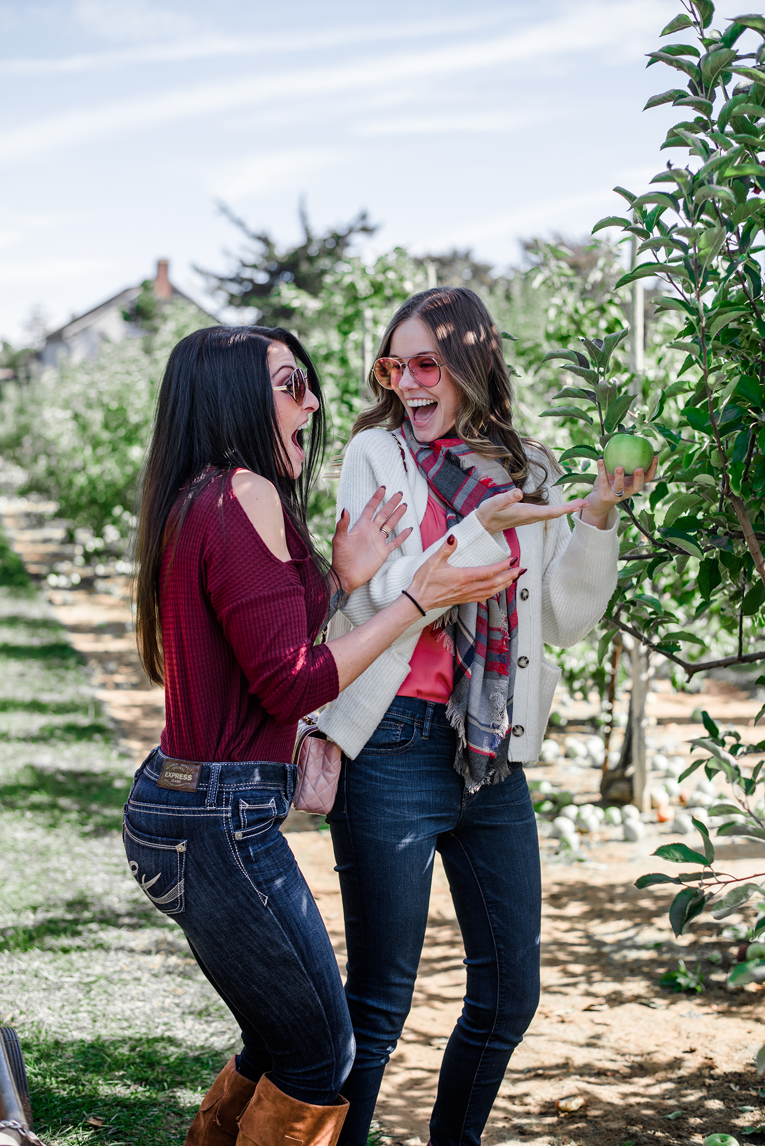 Alyssa Campanella of The A List blog goes apple picking in New Jersey with her sister Jessica