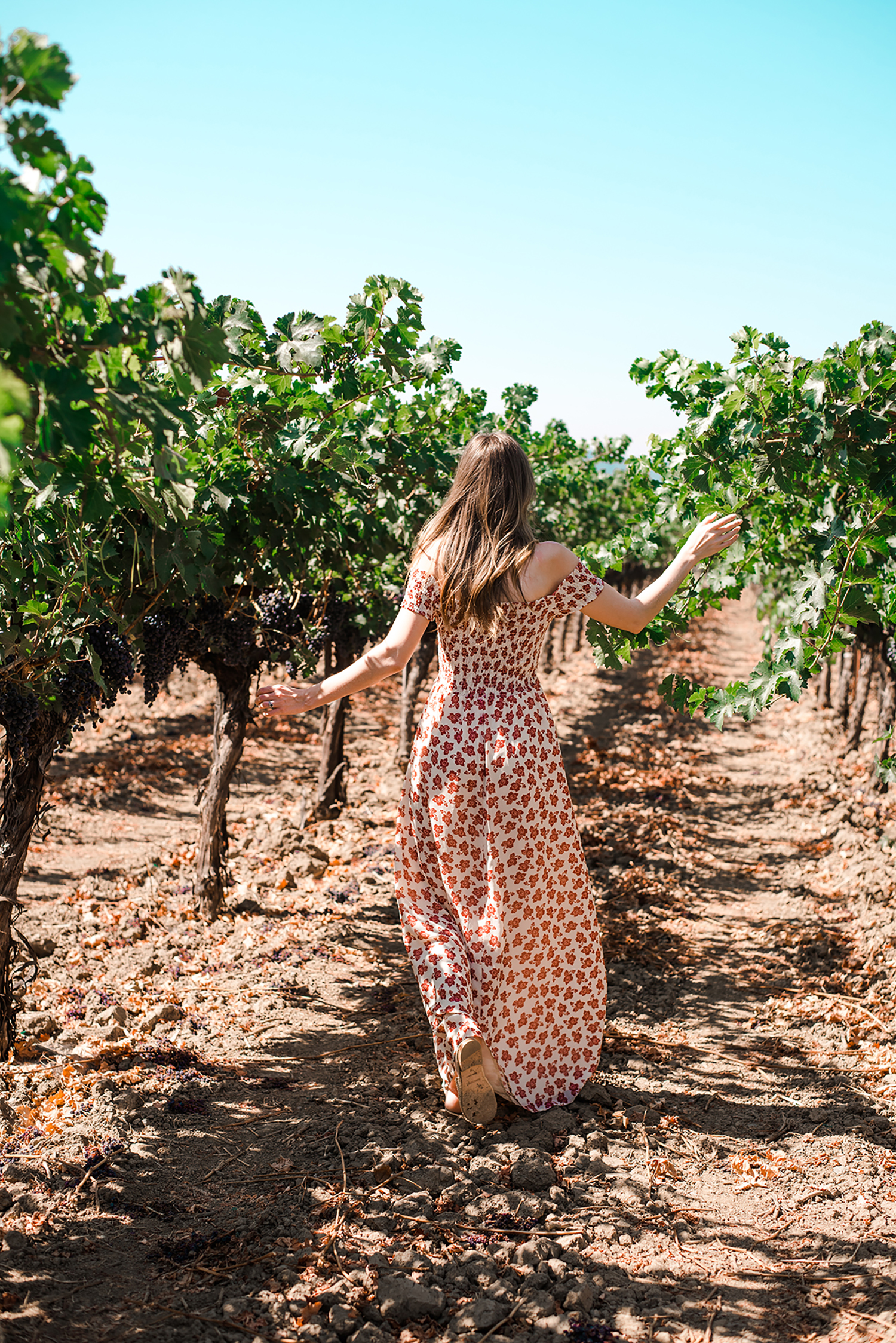 Alyssa Campanella of The A List shares her favorite travels from 2017 in Napa Valley, California