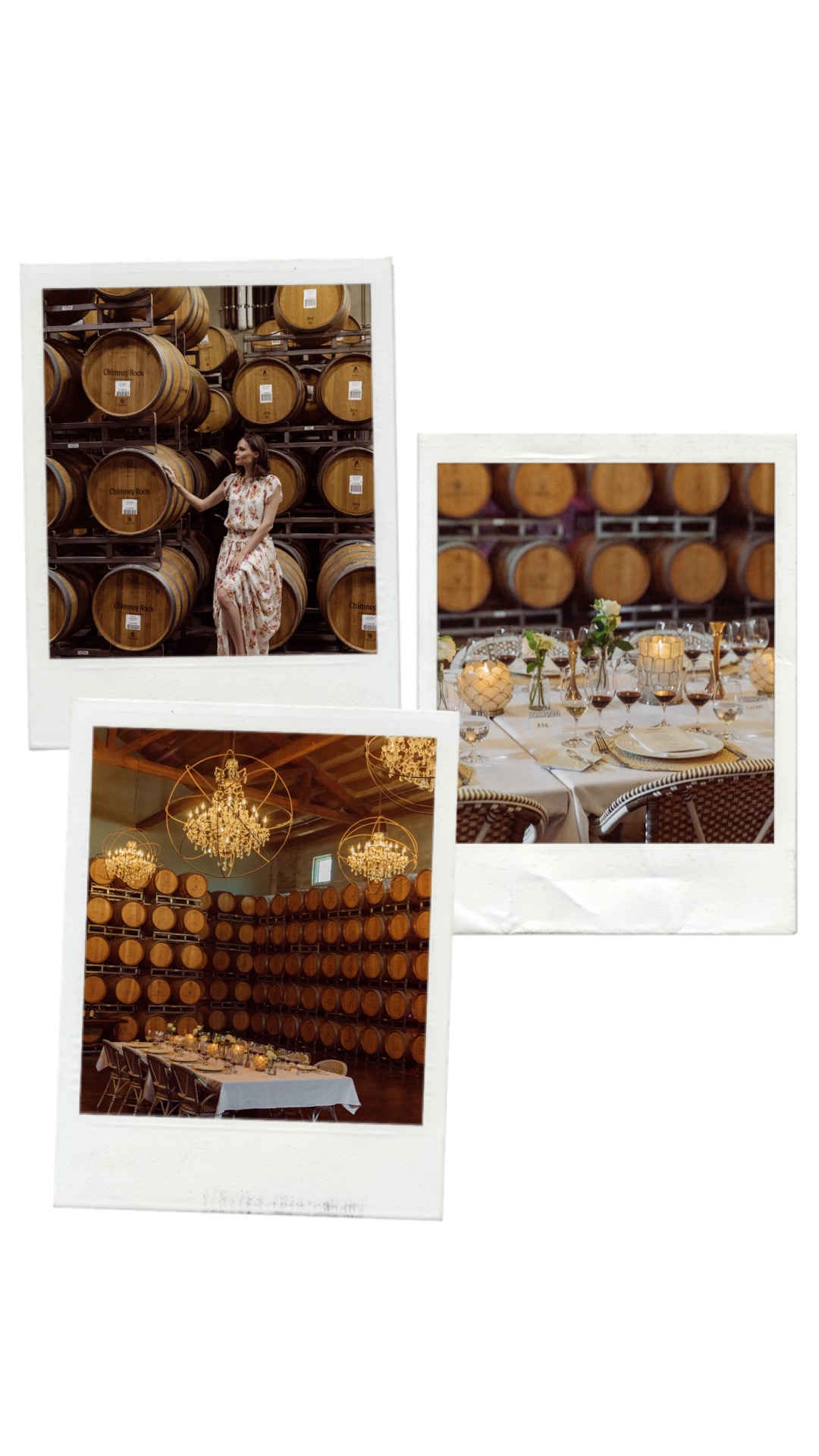 Alyssa Campanella of The A List blog enjoys a wine and design visit with Serena & Lily and Visit Napa Valley