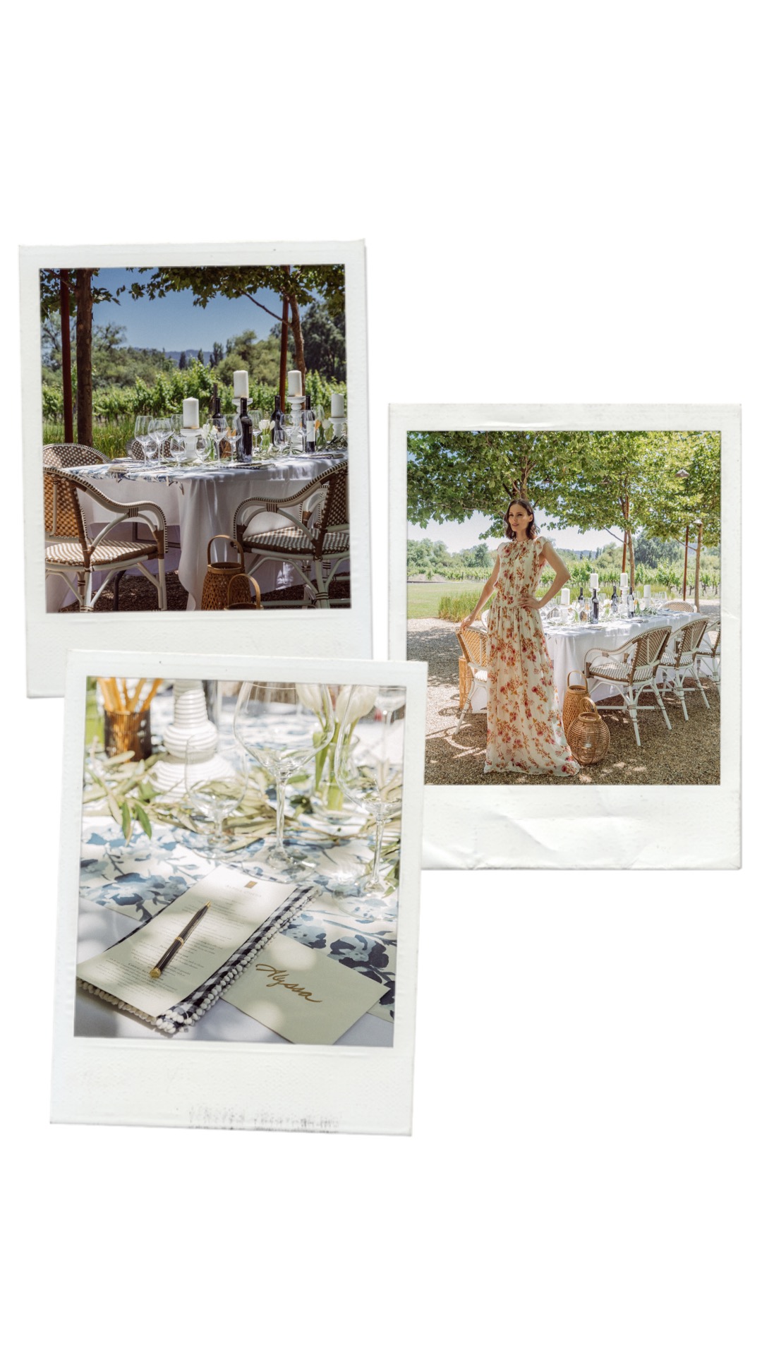 Alyssa Campanella of The A List blog enjoys a wine and design visit with Serena & Lily and Visit Napa Valley